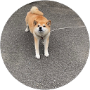 guro nachi profile picture